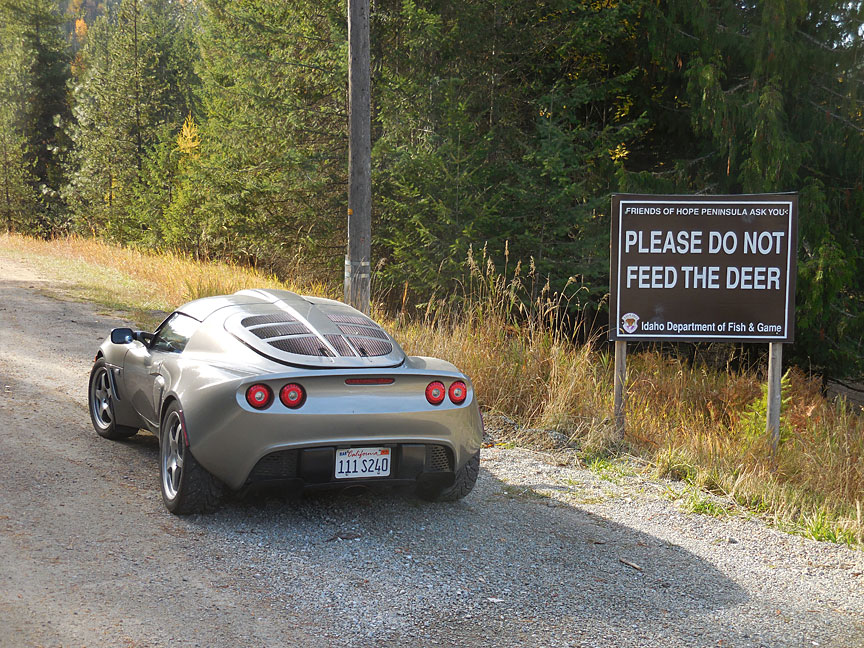 do not feed the deer lotus