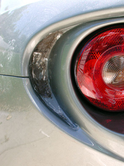 Lotus Elise grille removal kitty hair