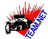 TeamNet logo