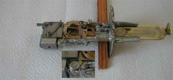 animated primary image