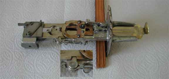 animated primary image