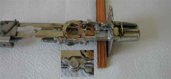 animated primary image