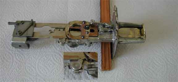 animated primary image