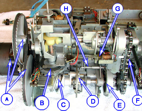 bottom gear train for Coon Hunt