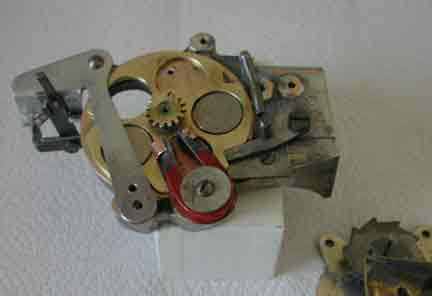 animated primary image