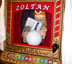 Zoltan fortune teller